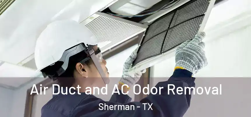  Air Duct and AC Odor Removal Sherman - TX