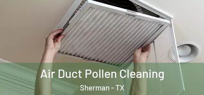  Air Duct Pollen Cleaning Sherman - TX