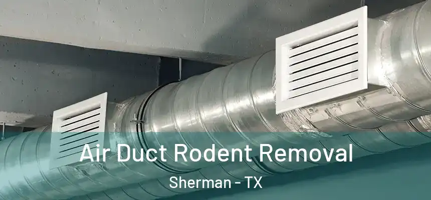  Air Duct Rodent Removal Sherman - TX