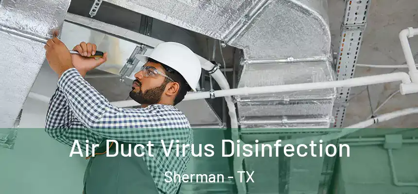  Air Duct Virus Disinfection Sherman - TX