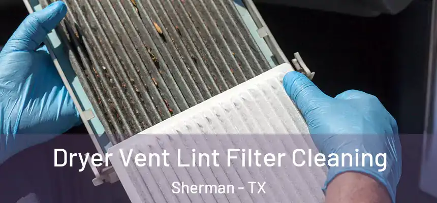  Dryer Vent Lint Filter Cleaning Sherman - TX