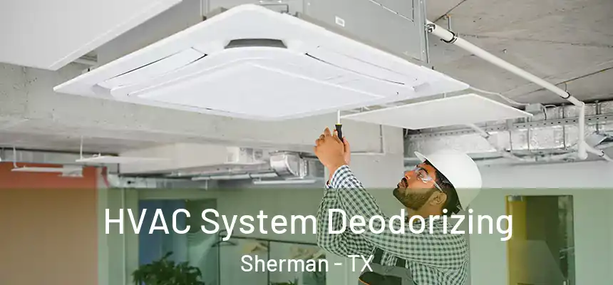  HVAC System Deodorizing Sherman - TX