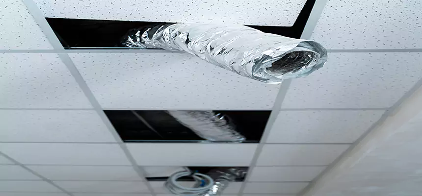 Our Air Duct Pet Hair Removal Services in Sherman, TX