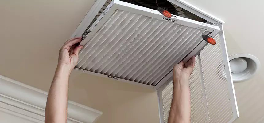 Our Insect Removal from Air Ducts Services in Sherman, TX