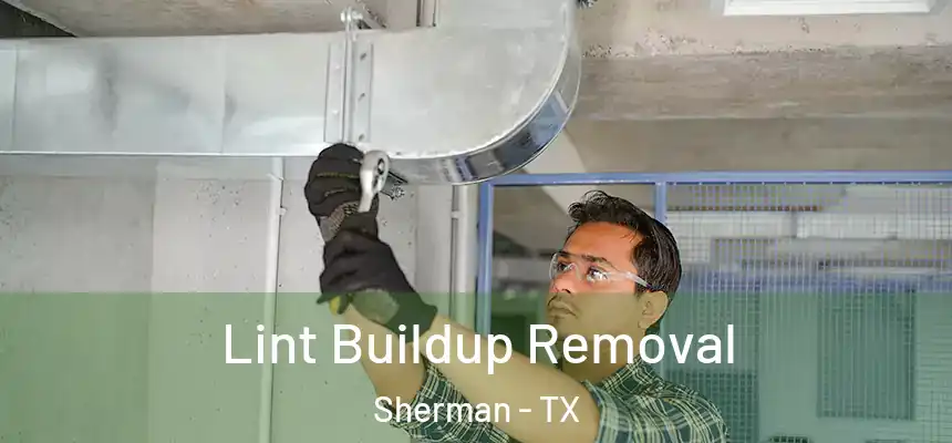 Lint Buildup Removal Sherman - TX