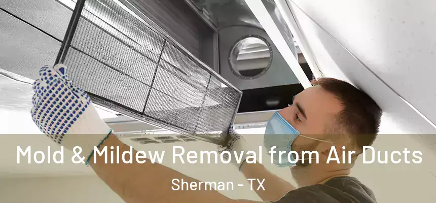 Mold & Mildew Removal from Air Ducts Sherman - TX