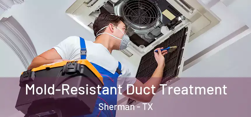 Mold-Resistant Duct Treatment Sherman - TX