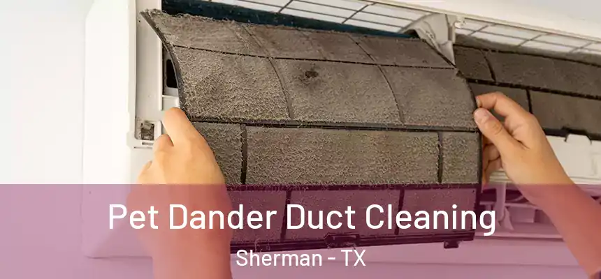 Pet Dander Duct Cleaning Sherman - TX