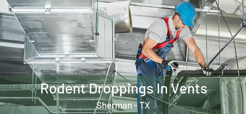  Rodent Droppings In Vents Sherman - TX