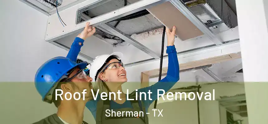  Roof Vent Lint Removal Sherman - TX