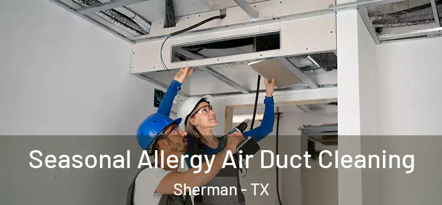 Seasonal Allergy Air Duct Cleaning Sherman - TX