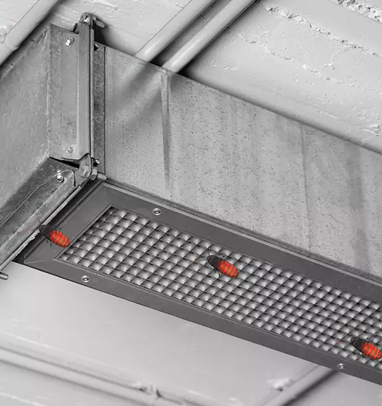 Affordable Insect Removal from Air Ducts in Sherman, TX