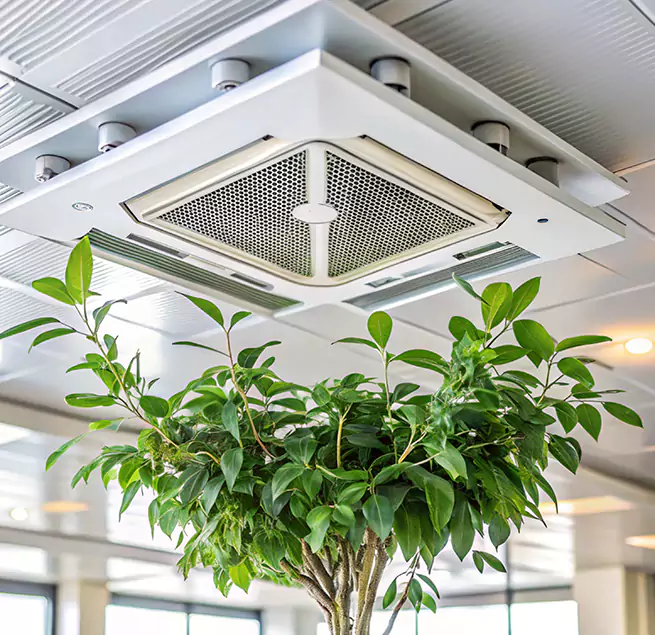 Why Homeowners & Businesses Trust Us in Sherman, TX?