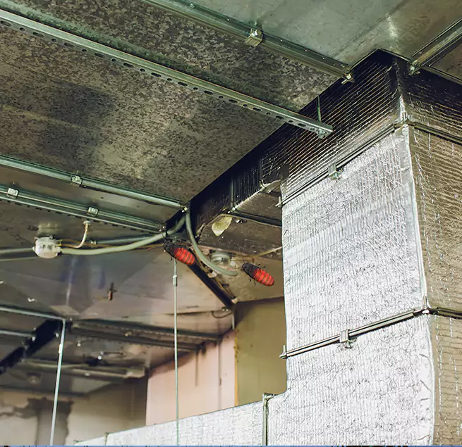 Why Homeowners & Businesses Trust Us Sherman, TX?